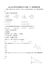 2023-2024学年江西省萍乡市七年级（下）期末数学试卷（含解析）