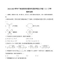 2024-2025学年广东省深圳市福田外国语学校九年级（上）开学数学试卷（含答案）