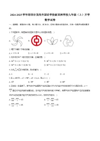 2024-2025学年广东省深圳市龙岗外国语学校（集团）新亚洲学校九年级（上）开学数学试卷（含答案）