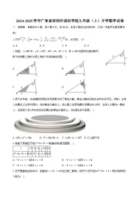 2024-2025学年广东省深圳外国语学校九年级（上）开学数学试卷（含答案）