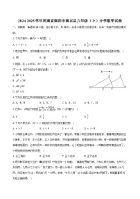 2024-2025学年河南省南阳市南召县八年级（上）开学数学试卷（含答案）