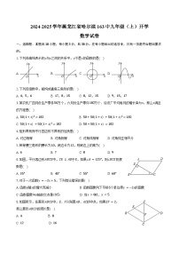 2024-2025学年黑龙江省哈尔滨163中九年级（上）开学数学试卷（五四学制）（含解析）