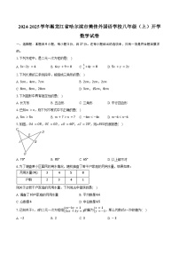 2024-2025学年黑龙江省哈尔滨市美佳外国语学校八年级（上）开学数学试卷（五四学制）（含答案）