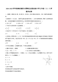 2024-2025学年湖南省衡阳市雁峰区成章实验中学九年级（上）入学数学试卷（含解析）