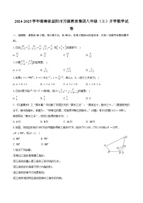 2024-2025学年湖南省益阳市万源教育集团八年级（上）开学数学试卷（含解析）