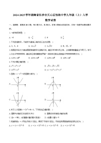 2024-2025学年湖南省长沙市天心区怡海中学九年级（上）入学数学试卷（含答案）