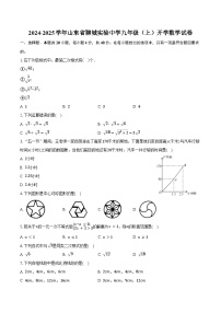 2024-2025学年山东省聊城实验中学九年级（上）开学数学试卷（含解析）