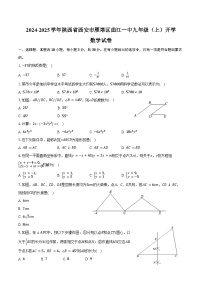 2024-2025学年陕西省西安市雁塔区曲江一中九年级（上）开学数学试卷（含答案）