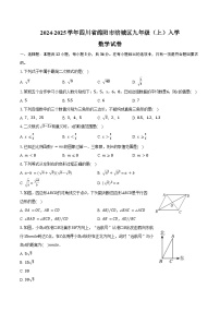 2024-2025学年四川省绵阳市涪城区九年级（上）入学数学试卷（含答案）