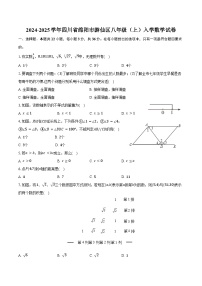 2024-2025学年四川省绵阳市游仙区八年级（上）入学数学试卷（含答案）