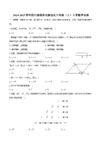 2024-2025学年四川省绵阳市游仙区八年级（上）入学数学试卷（含答案）