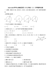 2024-2025学年云南省昆明三中九年级（上）开学数学试卷（含解析）