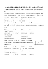 浙教版（2024）七年级上册（2024）3.2 实数精品课后作业题