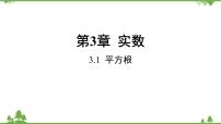 初中数学浙教版（2024）七年级上册（2024）3.1 平方根教课ppt课件