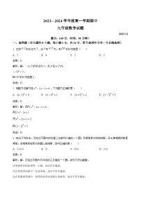 江苏省徐州市睢宁县2024届九年级上学期期中数学试卷(含解析)