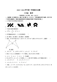 江苏省扬州市仪征市2023-2024学年八年级上学期期中考试数学试卷(含答案)