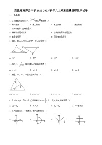 安徽省淮南市寿县中学2022-2023学年八年级上学期期末质量调研数学试卷(含答案，沪科版)