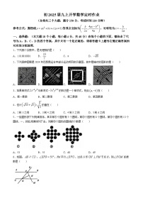 重庆市九龙坡区重庆实验外国语学校2024-2025学年九年级上学期开学考试数学试题