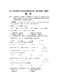 广西梧州市苍梧县2023-2024学年九年级上学期期末检测数学试题