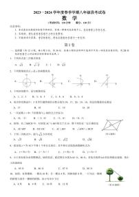 广西南宁市新民中学2023-2024学年八年级下学期期中质量监测数学试题