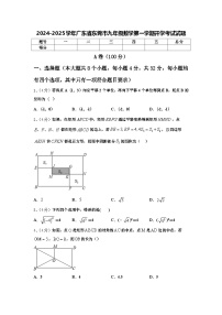 2024-2025学年广东省东莞市九年级数学第一学期开学考试试题【含答案】