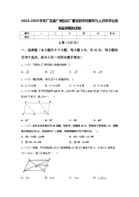 2024-2025学年广东省广州白云广雅实验学校数学九上开学学业质量监测模拟试题【含答案】