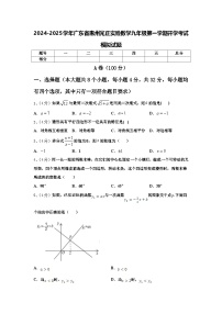 2024-2025学年广东省惠州光正实验数学九年级第一学期开学考试模拟试题【含答案】