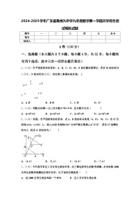 2024-2025学年广东省惠州九中学九年级数学第一学期开学综合测试模拟试题【含答案】