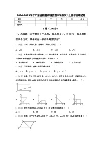 2024-2025学年广东省揭阳榕城真理中学数学九上开学调研试题【含答案】