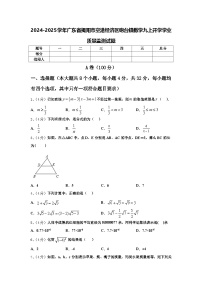 2024-2025学年广东省揭阳市空港经济区砲台镇数学九上开学学业质量监测试题【含答案】