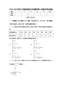 2024-2025学年广东省茂名地区九年级数学第一学期开学考试试题【含答案】