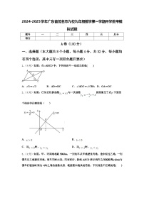 2024-2025学年广东省茂名市九校九年级数学第一学期开学统考模拟试题【含答案】