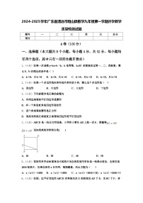 2024-2025学年广东省清远市阳山县数学九年级第一学期开学教学质量检测试题【含答案】