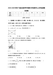 2024-2025学年广东省汕尾市甲子镇瀛江学校数学九上开学监测模拟试题【含答案】