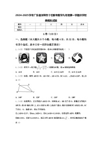 2024-2025学年广东省深圳市十校联考数学九年级第一学期开学经典模拟试题【含答案】