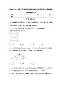 2024-2025学年广东省深圳市桃源中学九年级数学第一学期开学达标检测模拟试题【含答案】