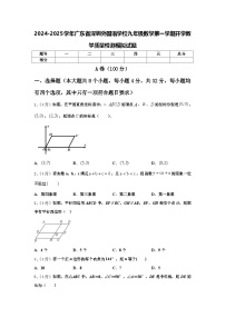 2024-2025学年广东省深圳外国语学校九年级数学第一学期开学教学质量检测模拟试题【含答案】