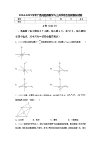 2024-2025学年广西龙胜县数学九上开学综合测试模拟试题【含答案】