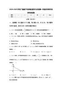 2024-2025学年广西南宁市武鸣区数学九年级第一学期开学教学质量检测试题【含答案】