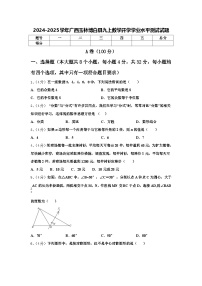 2024-2025学年广西玉林博白县九上数学开学学业水平测试试题【含答案】