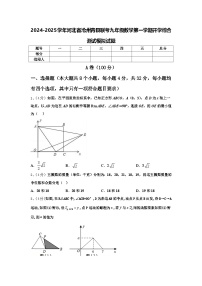 2024-2025学年河北省沧州青县联考九年级数学第一学期开学综合测试模拟试题【含答案】