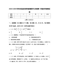 2024-2025学年河北省沧州市献县数学九年级第一学期开学调研试题【含答案】