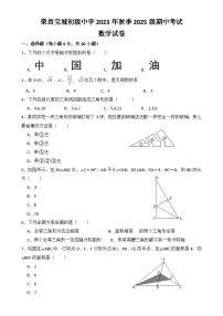 重庆市荣昌区宝城初级中学+2023-2024学年八年级上学期期中考试数学试题