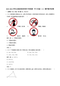 云南省昆明市安宁市昆钢第一中学2023-2024学年八年级上学期期中数学试卷(含答案)