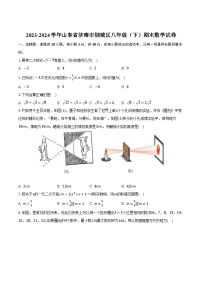 山东省济南市钢城区2023-2024学年八年级下学期期末考试数学试卷(含答案)