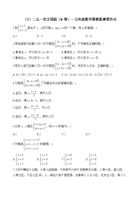 （2）二元一次方程组（B卷）—七年级数学冀教版暑假作业(含答案)