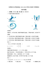 [数学][期末]甘肃省天水市麦积区2023-2024学年七年级下学期期末试题(解析版)