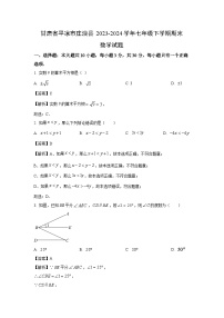 [数学][期末]甘肃省平凉市庄浪县2023-2024学年七年级下学期期末试题(解析版)