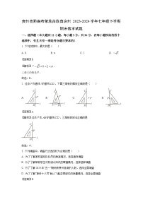 [数学][期末]贵州省黔南布依族苗族自治州2023-2024学年七年级下学期期末试题(解析版)