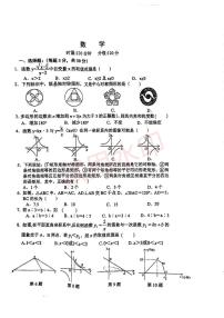 湖南省岳阳市第九中学九年级2024-2025学年九年级上学期入学考试+数学+试题